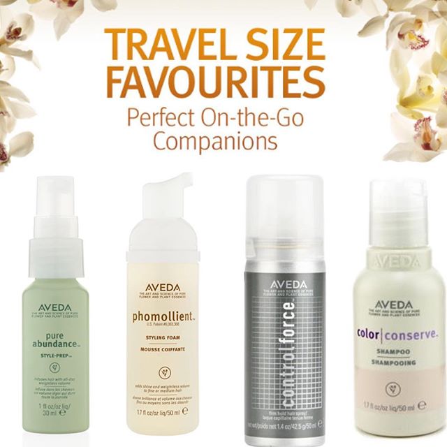travel size aveda hair products hungerford hair salon aveda travel size