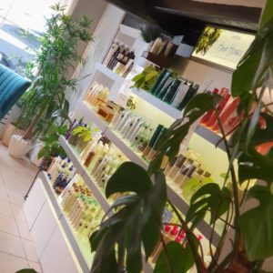 A Sustainable Salon - Perfectly Posh
