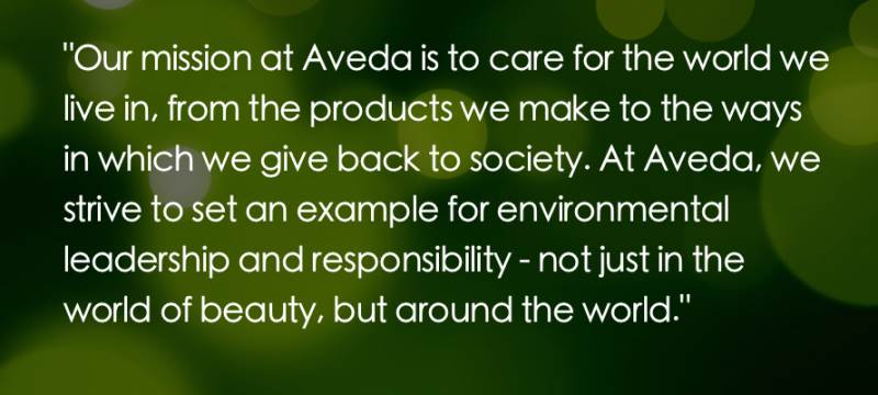 AVEDA Hair Salon Hungerford Mission Statement Hair Colour